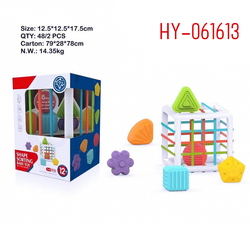 HY-061613 Cube carré