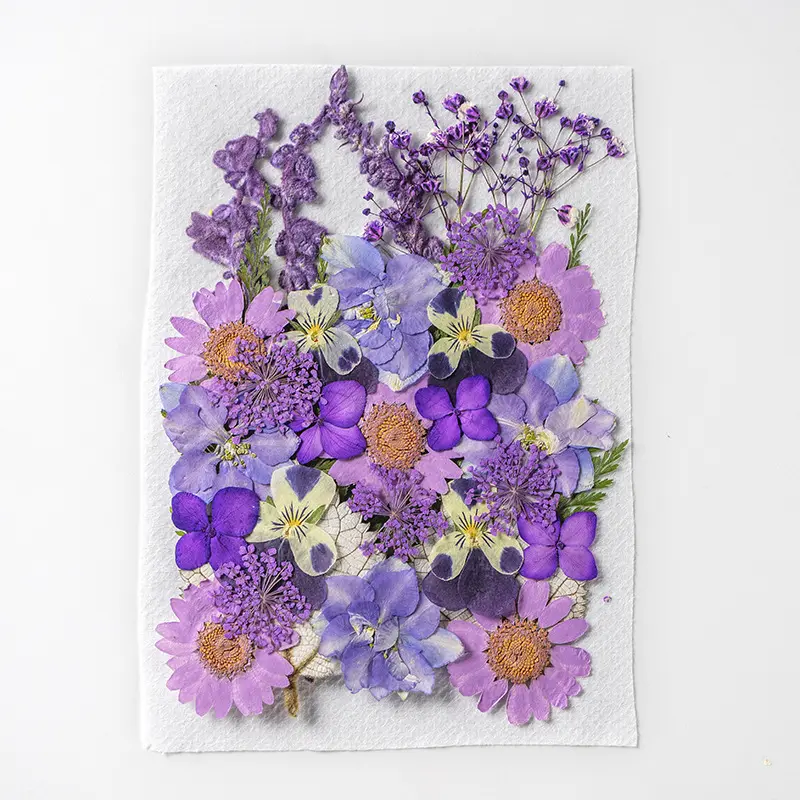 2022 vendita in fabbrica fiori pressati secchi per la creazione di arte fai-da-te petali pressati in resina bookmaker candela cornice fiori secchi fai-da-te