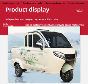 Easy Operate Light Frame Electric Tricycle Safe Ride 100 To 300KG Cargo Load Vehicle - Product Image 1