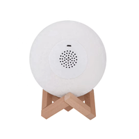 Lampe Coranique Tactile à Son Clair et Puissant avec Haut-Parleur, Sures du Coran Sélectionnées, Application Complète du Coran, Bluetooth, MP3, Lecteur Carte TF, Cadeau Musulman