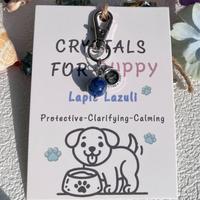 Pendentif pour animaux de compagnie en boule de cristal naturel, amulette énergétique de guérison pour chiens et chats, breloque de collier, accessoires spirituels pour animaux avec logo personnalisé