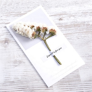 X-1246 Biglietti d'<span class=keywords><strong>Auguri</strong></span> Artigianali all'Ingrosso con Fiori Veri Essiccati Biglietti di Ringraziamento - Product Image 6