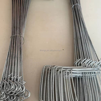 Petites serres agricoles à simple travée : système d'ancrage avec ancres et piquets de terre en fil d'acier pour une fixation sécurisée des cordes accessoires