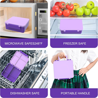 Bento lunchbox met 8oz thermosbeker voor soep, lekvrije lunchcontainers, geïsoleerde thermosfles voor warme maaltijden voor kinderen, voor school en reizen