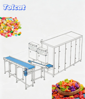 Automatische gummydepositielijn met vulling, complete unit voor de snoepindustrie, inclusief koeling en droging