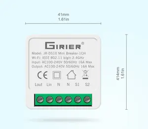 100 adet 10A Mini akıllı Wifi DIY anahtarı destekler 2 yollu kontrol, alexa Google Home ile çalışır akıllı yaşam App