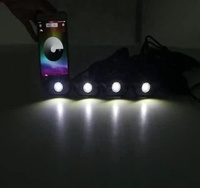 Luces LED RGB para Rocas de Alta Calidad, 4 Cápsulas 12V 24V, 8 Cápsulas, con Aplicación y Control Remoto