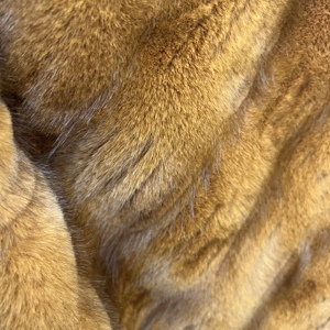 Pelliccia Sintetica Marrone Tippy 100% Poliestere a Pelo Lungo, Super Morbida, Resistente all'Abrasione, Antirughe, Antivento per Cappotti - Product Image 4