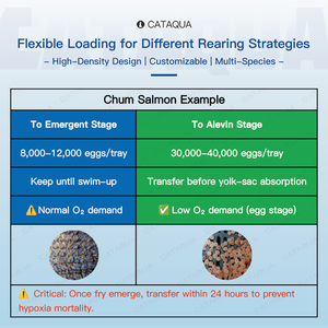 Incubateur automatique robuste pour œufs de poisson, équipement d'aquaculture avec système <span class=keywords><strong>RAS</strong></span> pour le tilapia et le poisson-chat, taux d'éclosion élevé - Product Image 4