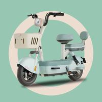 Adulte abordable Mini vélo électrique 2 roues Scooter électrique à vendre