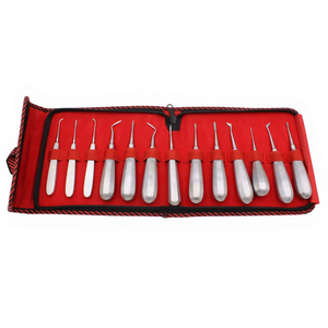 Élévateurs dentaires manuels en acier inoxydable, réutilisables, légers, certifiés CE, instrument dentaire - Product Image 1