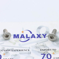 MALAXY M3 M4 M5 M6 Acier Inoxydable 304 Vis Antivol Douille Torx Plat Fraisée Sécurité Avec Goupille Vis Torx