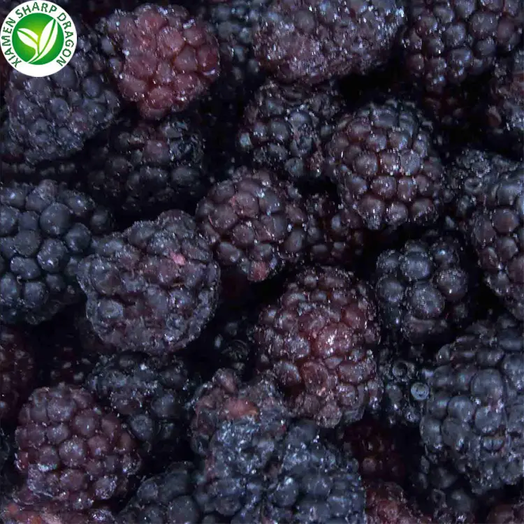 IQF Freeze Organic frozen Fresh Blackberry Wild Healthy unsweetened Black Raspberries Fruit Seedless Great Value Wholesale price
