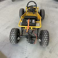 Buggy personnalisé OEM à vendre, karts pour adultes pour les aventures en plein air, kart de course tout-terrain pour adultes de haute qualité et abordable