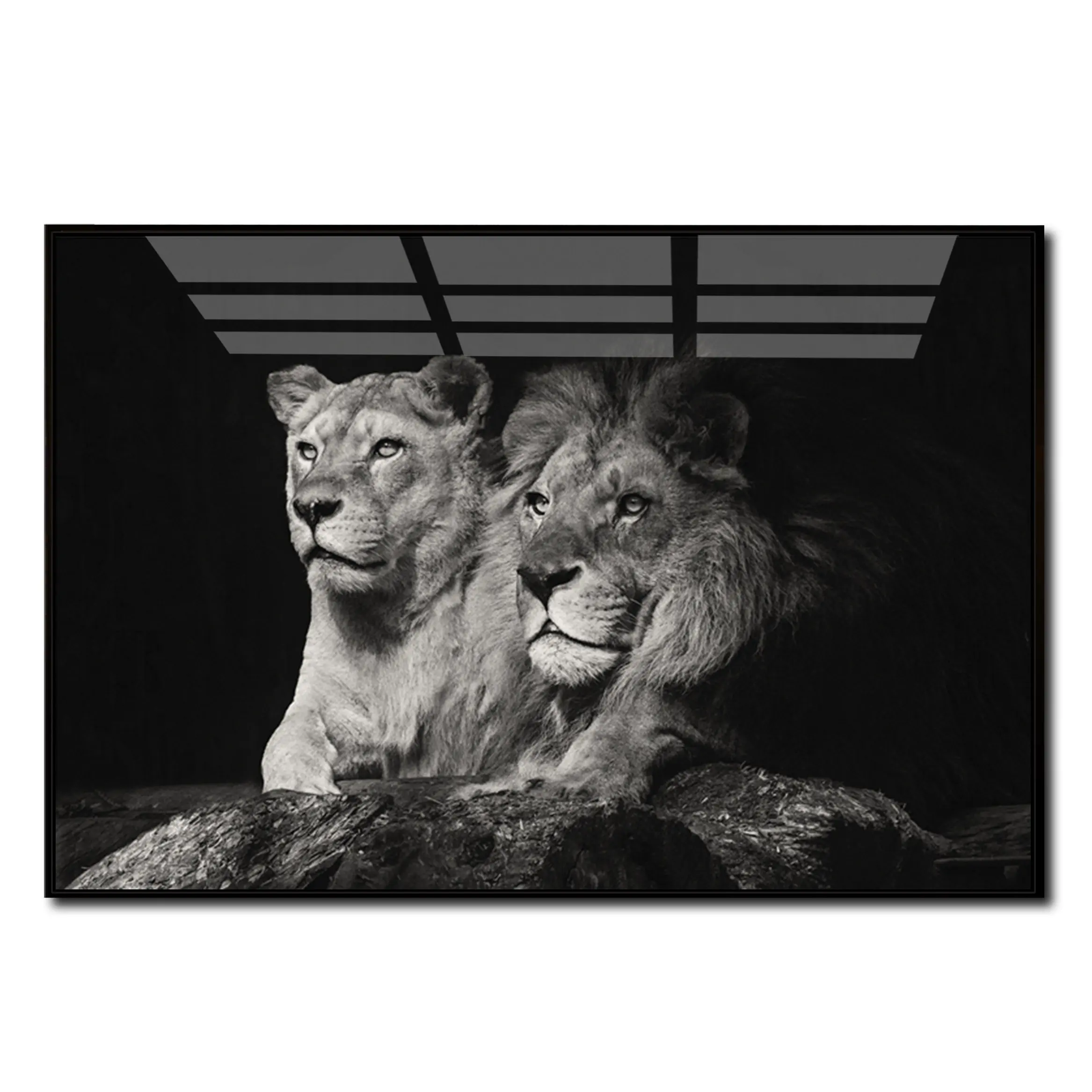 ขายส่ง2สิงโตแก้วคริสตัลพอร์ซเลนภาพวาดสัตว์สีดำที่กำหนดเองผนังศิลปะสิงโตอะคริลิพิมพ์ภาพวาด