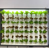 45 Pot de Plantes Extérieur Grand Mur Vertical de Jardin Agriculture Systèmes de Culture Hydroponique Unité Murale Intérieure Maison Véritable Jardinière Verticale