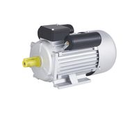 Moteur de machine à bois asynchrone à induction monophasé à deux condensateurs YL100L1-4 2,2 kW 3 CV 110V/220V 60Hz