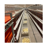 Offre Spéciale Un Type Cage Poulettes Pour Poussins d'un Jour Avec Feeder Buveur Et Fumier Plaque Collectrice