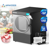 Airwoods 20Kg Industriële Automatische Vriesdrogermachine Voor Groenten En Fruit Vacuümdroogapparatuur Voor Fruitjam