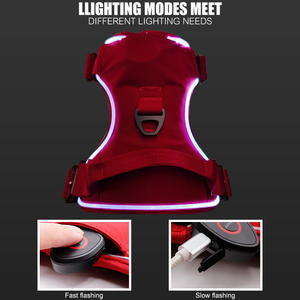 Producción de fábrica de malla de nailon Led <span class=keywords><strong>Pet</strong></span> Rock Light up Dog Vest Reflective Outdoor Party Led Dog Harness Set - Product Image 4
