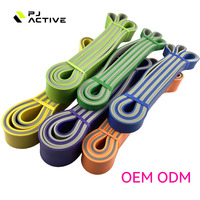 Juego de Bandas de Resistencia PINJIAN para Yoga, Elásticas, Resistentes, de Doble Capa, de TPE, para Ejercicios de Fuerza y Fitness
