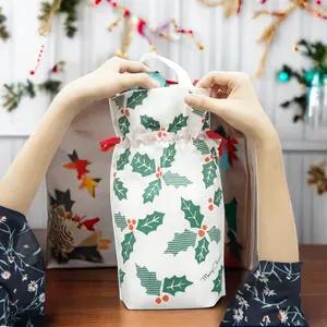 Huadefeng Çevre Dostu özel logo Baskı Noel Kolu hediye çantası Ile Şerit
