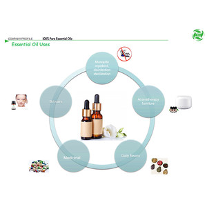Fábrica al por mayor 100% aditivos alimentarios naturales puros <span class=keywords><strong>aceite</strong></span> aceites esenciales comestibles <span class=keywords><strong>aceite</strong></span> Rue - Product Image 5