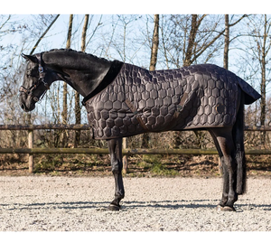 Achetez des tapis de cheval stables qui offrent le mélange parfait de durabilité et de style pour une tenue stable au quotidien - Product Image 2
