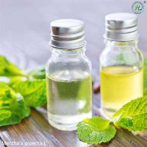 Натуральное эфирное масло перечной мяты HL, 100 чистых поставщиков, Сыпучие эфирные масла Piperita для ароматерапии, косметика - Product Image 2