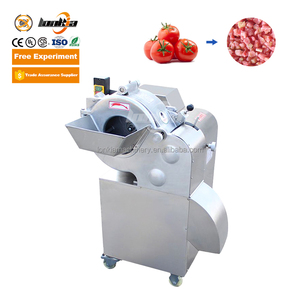 Máy đông lạnh liên tục IQF dạng đường hầm cho rau củ quả, cà rốt, cà chua, khoai tây chiên, dây chuyền đông lạnh nhanh IQF - Product Image 5