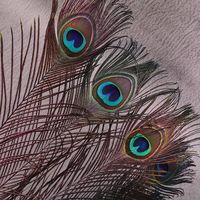 Éventail décoratif en plumes de paon colorées, idéal pour événements, scènes, costumes, carnavals et fêtes - Grande Vente