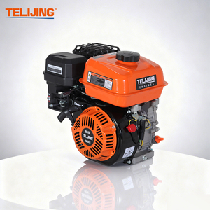 Motore a Benzina TLJ TJ230 OHV Monocilindrico 7.5/8HP Raffreddato ad Aria 4 Tempi con Cuscinetto 223cc di Cilindrata Emissioni EPA/Euro 5 - Product Image 1