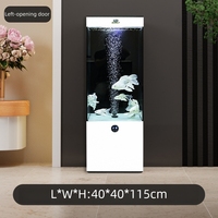 Aquarium avec pompes à eau, 50 gallons, verre ultra-blanc, rectangulaire, filtration latérale, silencieux, luxueux, pour salon, 5W