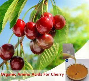 Bioestimulante Orgánico Líquido Fertilizante <span class=keywords><strong>Foliar</strong></span> que Promueve la Floración de Frutas y Aumenta el Rendimiento - Precio al por Mayor - Product Image 4