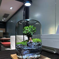 Kit de terrarium pour sol de jardin Eden's Pond, style campagnard avec fibre et lampe