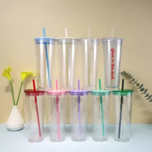 Abd özel temizle 16oz 24oz yalıtımlı çift duvarlı plastik akrilik bardak kapaklar ve saman ile Dupes kartopu Snowglobe Tumbler