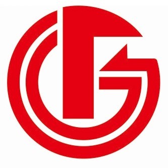 Changsha Feige Electronic Technology Co., Ltd. logo