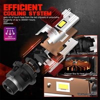 Precio bajo de reemplazar las bombillas Led automáticas de xenón D todo en un diseño Plug and Play 12000LM D2s D4s Series Car Led Bulb D2R D4R Canbus