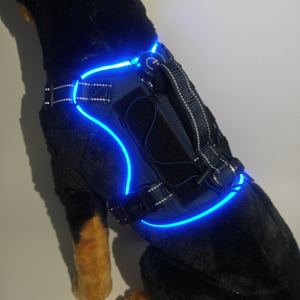 Arnés LED ajustable personalizado para perros sin tirones, banda para el pecho <span class=keywords><strong>de</strong></span> nailon brillante, accesorios <span class=keywords><strong>de</strong></span> <span class=keywords><strong>seguridad</strong></span> nocturna para mascotas, arnés LED para perros - Product Image 1