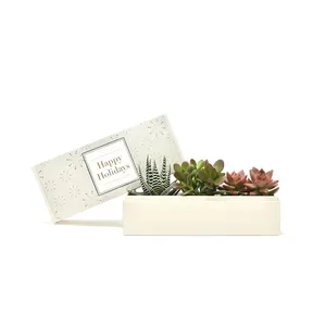 Succulents Planter Custom Gift Box Luxury Eco Friendly Succulent Pot Shape Packaging Lid And Base Box Set Succulent Gift Boxes