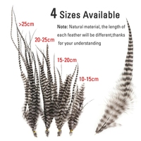 Plumes de mouche de 10cm -25cm, matériel de selle de Grizzly, crochet de coq naturel doux pour banderoles, matériel de liaison de mouches de pêche