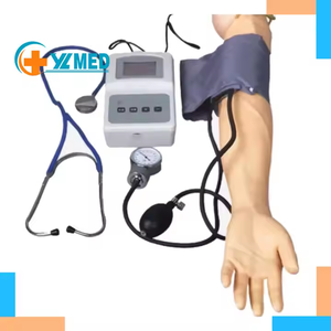 Simulación para adultos Brazo Medición de la presión arterial Modelo de entrenamiento Entrenamiento en el hospital Simulador de presión arterial para ciencia médica - Product Image 6