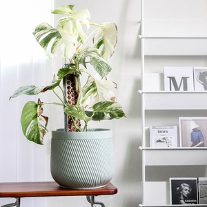 Chậu Lớn Bằng Đất Sét Sợi Hiện Đại Chậu Hoa Sợi Thủy Tinh Trang Trí Để Trang Trí Sân Vườn Nhà Cửa - Product Image 4