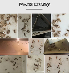 Pièges à mites pour vêtements <span class=keywords><strong>et</strong></span> garde-manger, non toxiques, collants, à phéromones, pour la protection des vêtements <span class=keywords><strong>et</strong></span> des aliments contre les infestations, vente en gros d'usine, personnalisables - Product Image 3