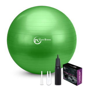 Pelotas <span class=keywords><strong>de</strong></span> Fitness Anti-Explosión <span class=keywords><strong>de</strong></span> 65 cm <span class=keywords><strong>de</strong></span> Zhensheng al por Mayor, con Calidad Confiable y Suministro Estable - Product Image 4