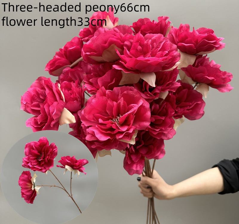 Pivoine à trois têtes