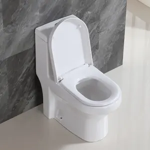 Moderno sud America un pezzo wc Inodoro doppio lavaggio sanitari 300mm sifone Water Closet