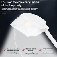 Projecteur LED à bras long 110V 220V 70W 100W pour exposition, éclairage publicitaire pour comptoir de bijouterie et mur de fond