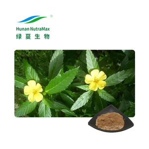 Hoge Kwaliteit Groothandelsprijs Non-Gmo Man Power Poeder 10:1 Damiana <span class=keywords><strong>Extract</strong></span> - Product Image 2