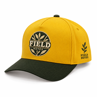 Casquette de baseball brodée personnalisée en gros pour programme promotionnel de vente au détail, articles de marque, sport universitaire, unisexe, OEM, en vrac